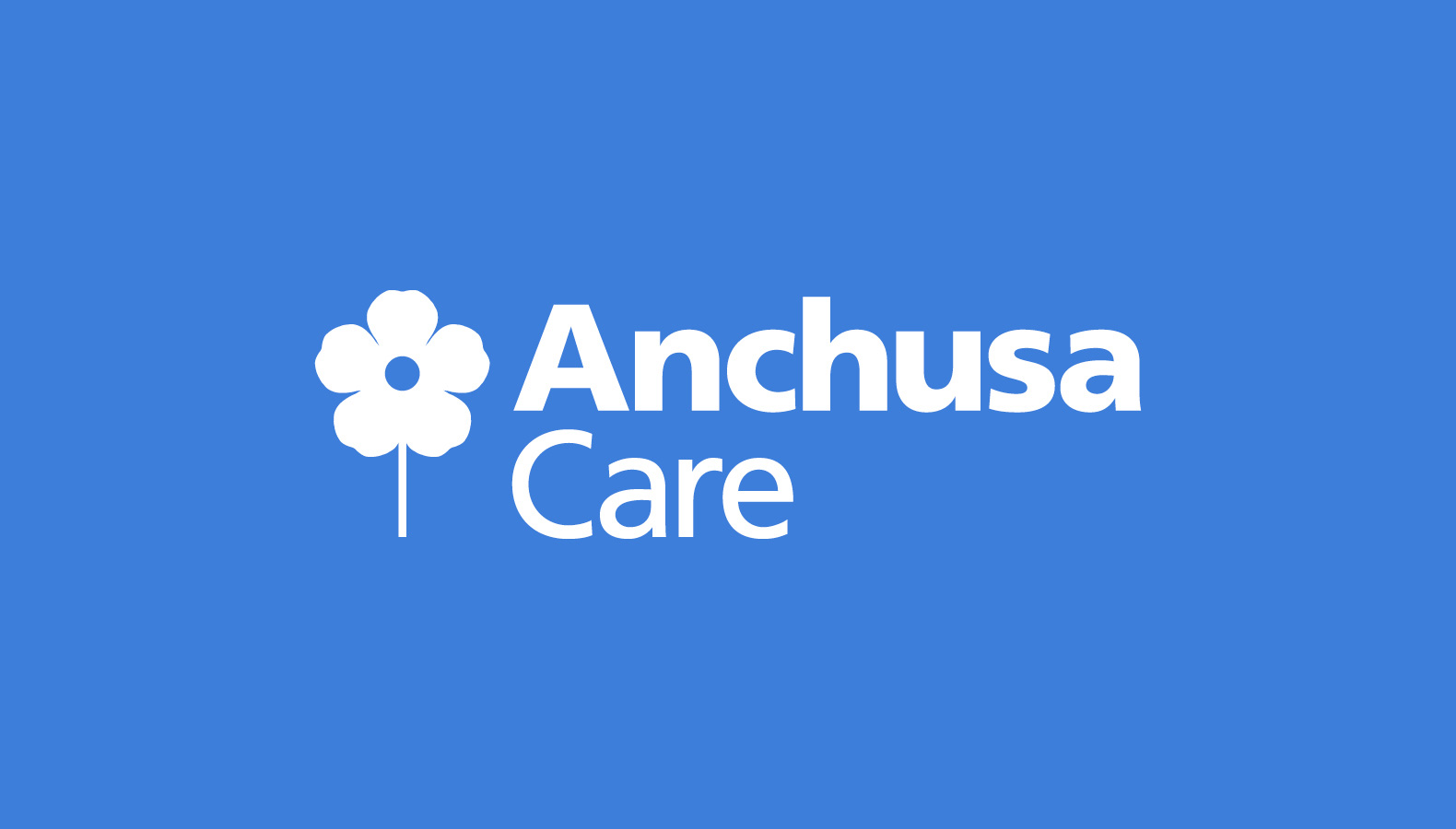 Anchusa Care – Identity